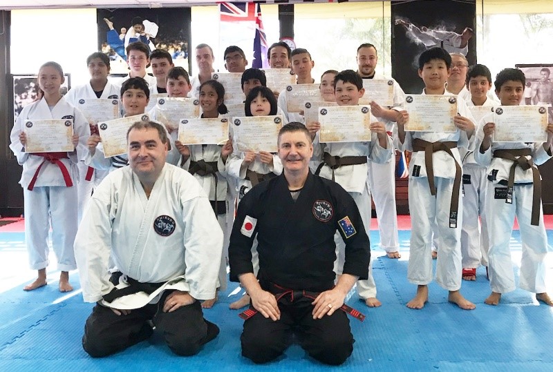 MARTIAL ARTS VS TEAM SPORTS Shirudo Martial Arts Academy