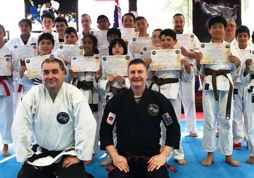 What are the coloured belts in martial arts?