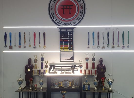 What makes a good martial arts tournament competitor?